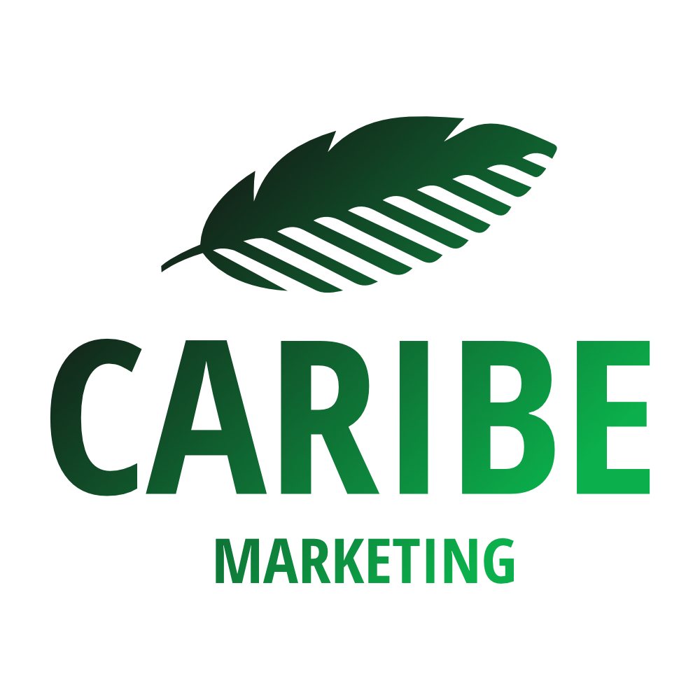 Web agency Martellago Venezia